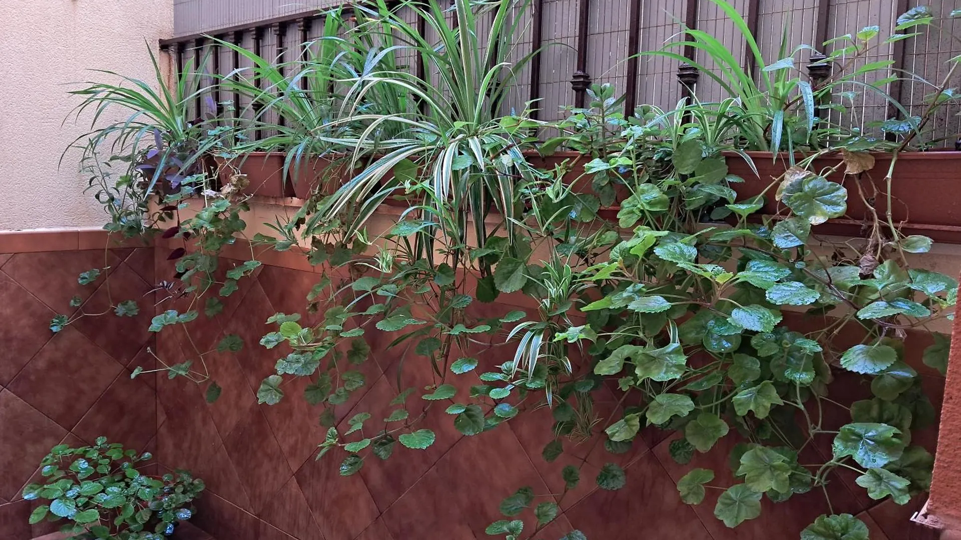 Apartamento la Reina Córdoba España